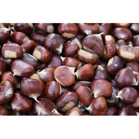 Pepitas Pumpkin Seeds (500gm)