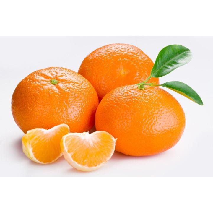 Imperial Mandarins