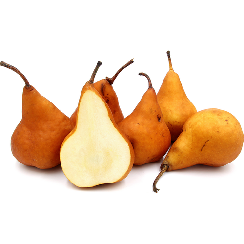 Pears Beurre Bosc