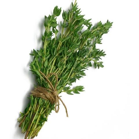 Dill (Pack)