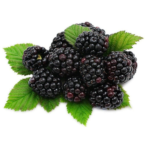 Blackberries (125g)