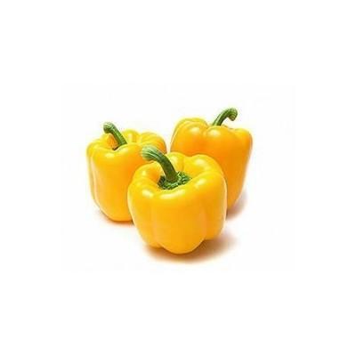Chilies Red (100g)