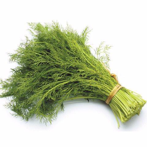 Dill (Pack)