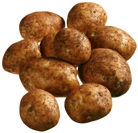 Washed Potatoes Premium