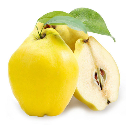 Quince (Each)