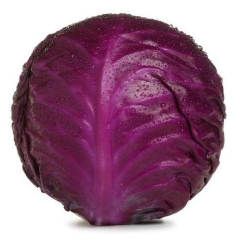 Cabbage Red (Quarter)